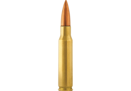 308 Winchester