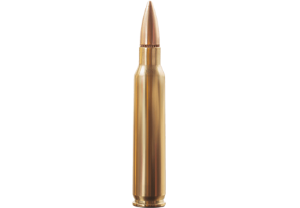 223 Remington