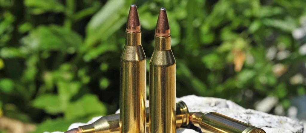 243 Winchester