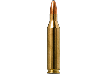 243 Winchester