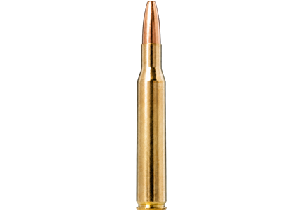 270 Winchester