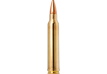 300 Winchester Magnum