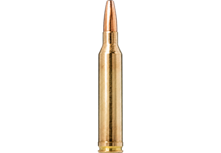 7 mm Remington Magnum
