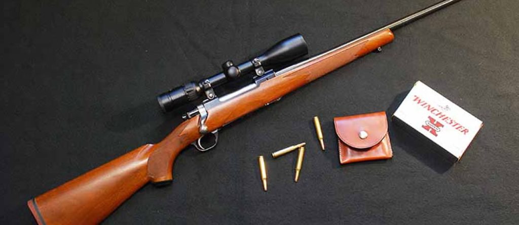 Ruger Hawkeye