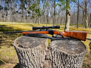 Ruger No. 1