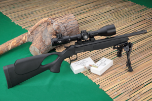 Bergara BA13
