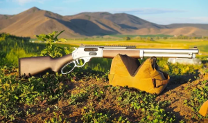 Henry H10