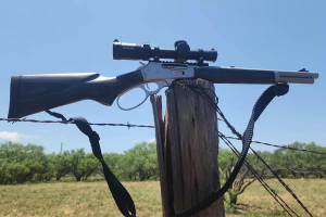 Marlin Model 1895