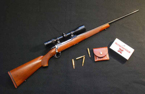 Ruger Hawkeye
