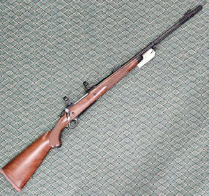 Ruger Hawkeye