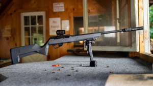 Savage A22