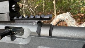 Savage A22