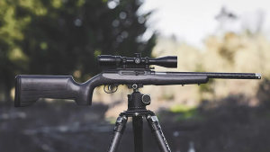 Savage A22